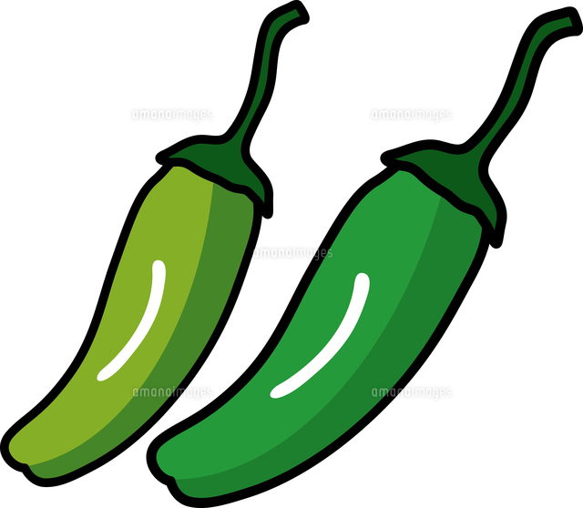 野菜イラストのかわいい手書き無料フリー素材まとめ - ONWAイラスト