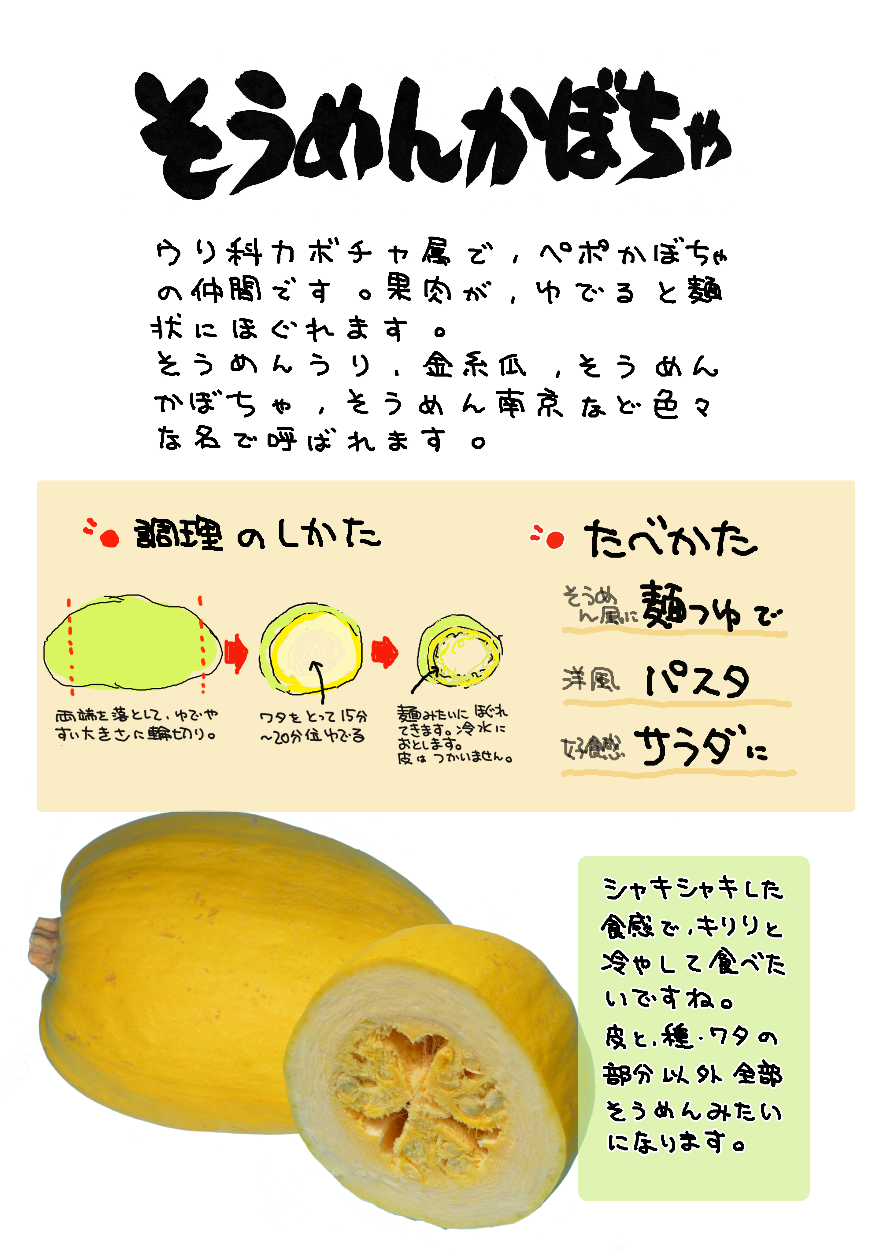 楽天市場送料無料 カボチャ苗 そうめんかぼちゃ 野菜苗 9cmポット 2個セット 送料無料 即納 : 植物販売のＩＴＡＮＳＥ楽天市場店