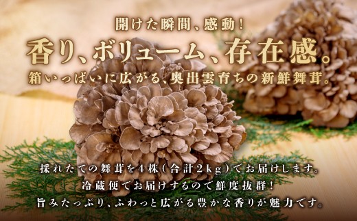 きのこの保存のコツは冷蔵? 冷凍? おいしい調理方法とは?東京ガス ウチコト