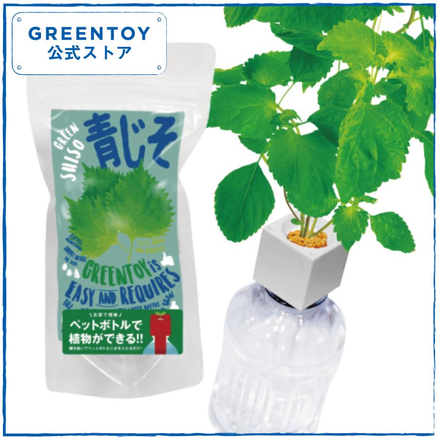 水耕栽培 ペットボトルで簡単なシソ栽培 1日目〜57日目 Easy perilla Cultivation with plastic bottle □ 栽培方法 ・栽培場所は植物育成用LEDライトの下 ・発芽し根がスポンジの下から出たら週に1回肥料を使用 微粉ハイポネックス・水替えは 全替え 出来れば毎日