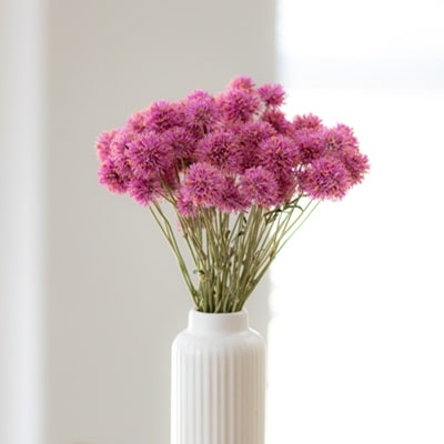 8 12 豊科店 お盆切花販売中オススメ情報綿半ブログ綿半