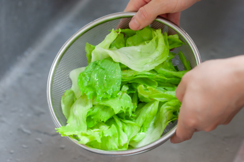 種類別!レタスを美味しく長持ちさせる保存方法 最長3週間、レタスの鮮度を保つテクニックもご紹介!ONIGO通信スーパー価格で、すぐ届く。ONIGO