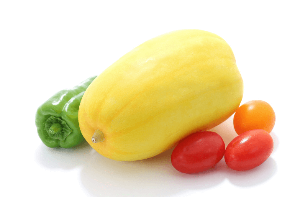 ウリ科の野菜 一覧野菜の図鑑web