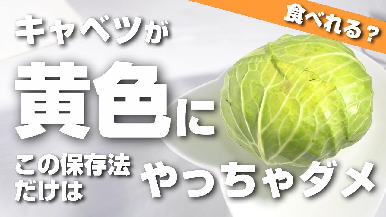 こんなに違うの」「真反対じゃん！」 意外と知らない『おいしい春キャベツ』の見分け方 – grapeグレイプ