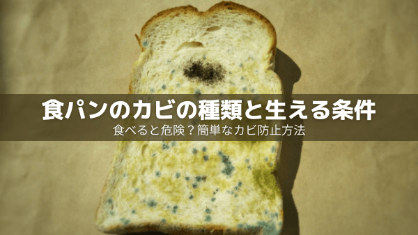 第1回ぱん結び®推しパン選手権TOP10を発表！カネカ食品株式会社のプレスリリース