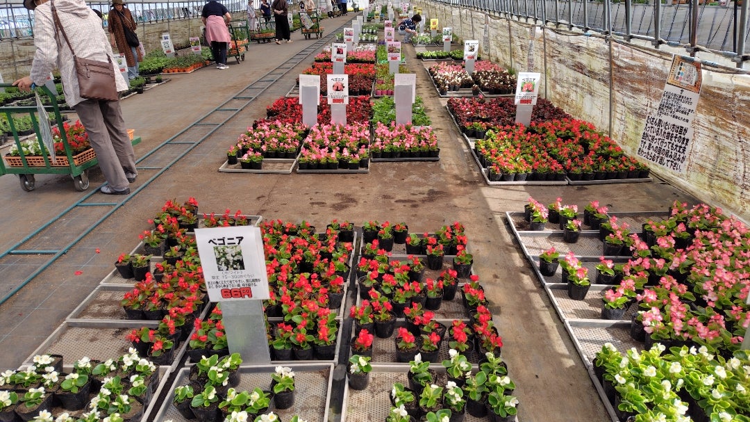 花のまつうらの新着記事アメーバブログ アメブロ