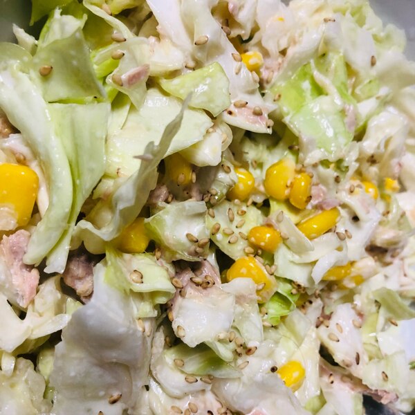 コールスロー どのレシピよりおいしいシンプルすぎる作り方キャベツ