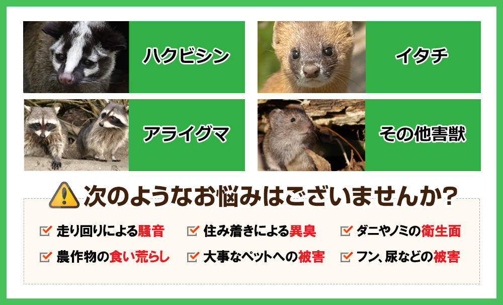 大分県初 道の駅『ゆふいん』が 重点「道の駅」に選定されました！