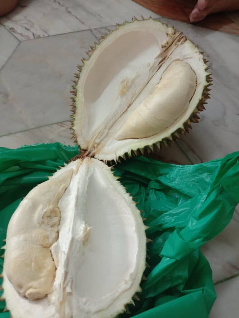 臭いフルーツの写真素材写真素材なら「写真AC」無料 フリー ダウンロードOK