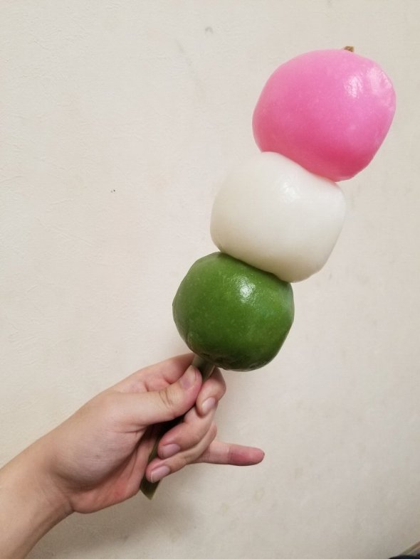 お花見に岡崎公園へ🌸🍡岡崎城ひょうたん屋さん名物花見団子大 を今年もゲット！！アップでもご覧下さい😆実家の父が作ったネギを頂いたのでねぎま作りました✨