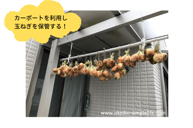 玉ねぎは常温保存が◎保存を長持ちさせるコツや夏の保管方法は？コジカジ
