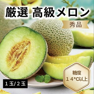 高級マスクメロン高級メロンアオキフルーツオンライン