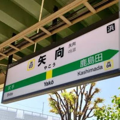 立大や専大、山梨学院大など10校が本大会の出場権を獲得 箱根駅伝予選会 -