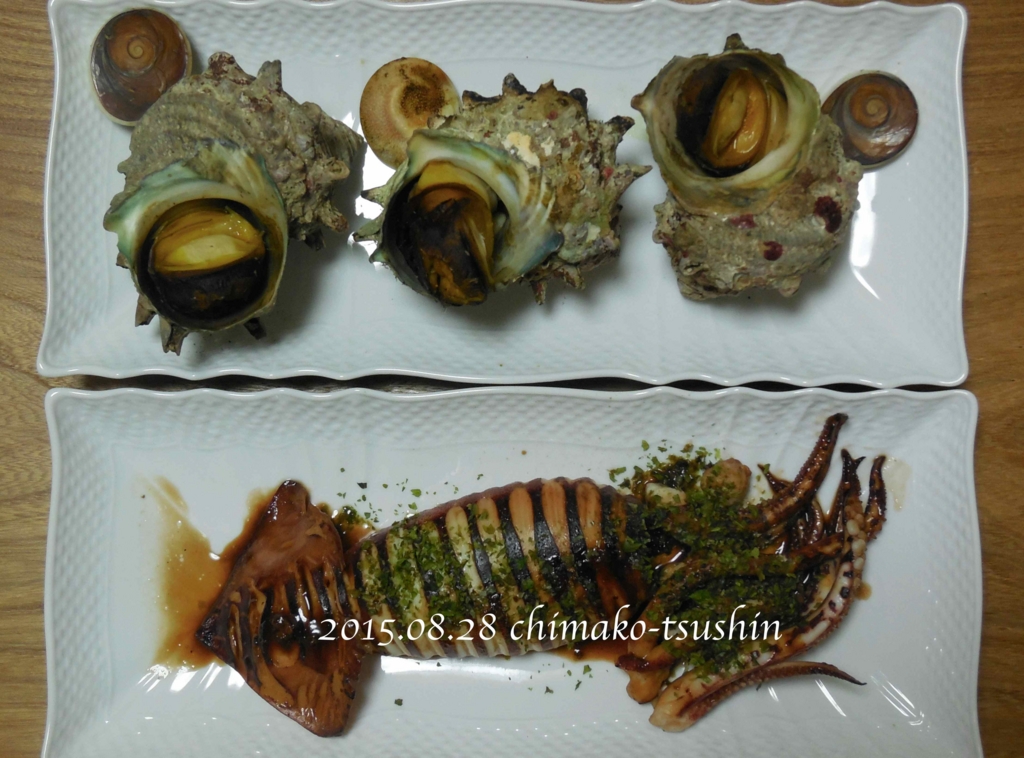 いかおやじ串 イカ串 イカ焼き串 10本 1本75〜85g前後いか イカ 烏賊 いか串 いかポンポン焼き いかぽっぽ焼き イカポッポ焼き –FOOD STREAM JAPAN