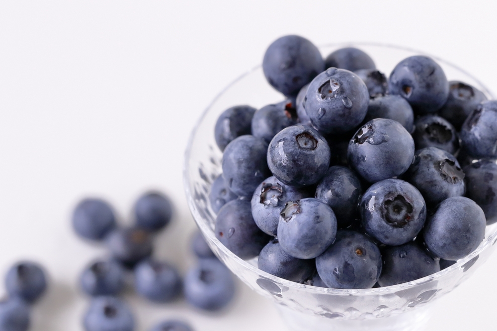 シリーズ「青い果実たち」のぶ