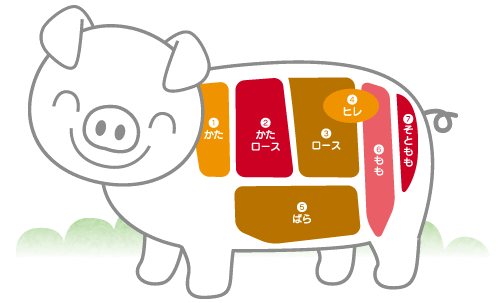豚肉の部位一覧 豚のどこの部分？焼肉希少部位はどこ？ - 肉専門サイト『にくらぶ』