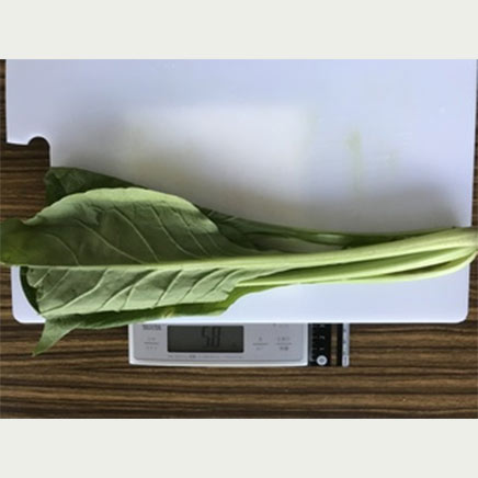 小松菜は栄養価の高い野菜！すごい効能と効果がアップするレシピを紹介ふるなび公式ブログ ふるさと納税DISCOVERY