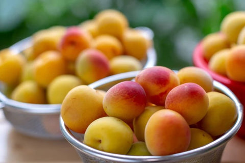 梅ボーイズ公式サイト ㊗️梅と紫蘇レビュー1000件 ！4.9いつもSNSへのコメントや楽天・Amazon・公式サイトでたくさんのレビューをいただいており、そんなお客様からの声が何よりも励みに、やりがいになっています。梅本来の味がする昔ながらのすっぱい梅干しを食卓に