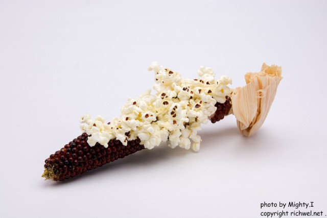 ダイソーのコレ試してみて！「ラップぐるぐる巻きより断然良い」お手軽調理グッズが優秀でしたmichill byGMO ミチル