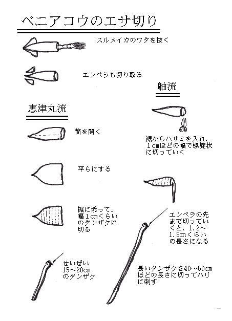 ベニアコウのエサ切り
