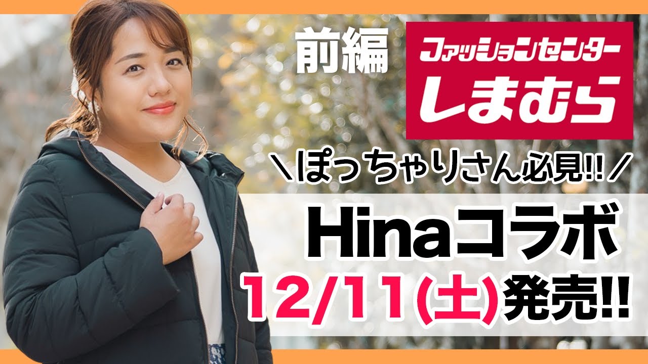 市川市】この子に見覚えは？12/18鬼高2丁目で迷い猫を保護。人懐っこいぽっちゃり猫のおうちを探しています！ | 号外NET