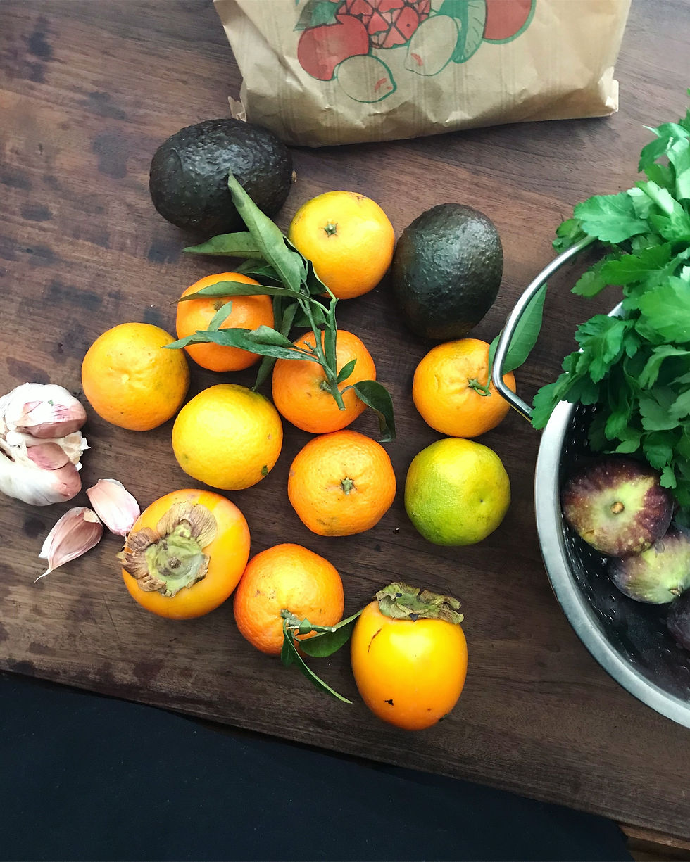 白い背景にみかん、クレメンタイン、またはマンダリンオレンジの果実と緑の葉、皮をむいた部分、半分切った柑橘系の果物が正面に横たわっているの写真素材・画像素材Image 187297299