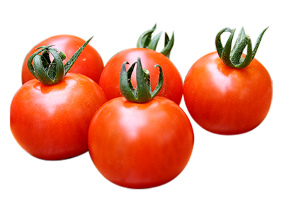 コストコのエンジェルスイートトマトは甘み強めの食べやすいミニトマト！│TASTY TIME テイスティータイム