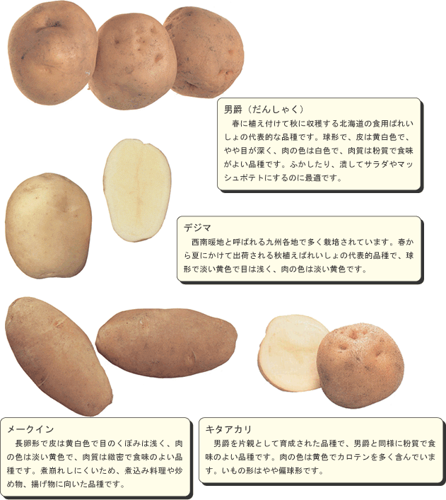 ジャガイモのいろいろな種類：農林水産省