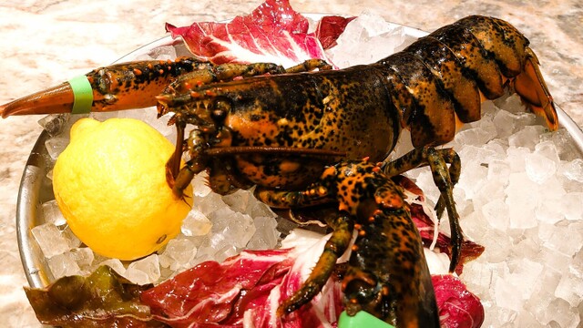 日比谷マリンビルは、数奇な歴史をたどって行きました。現在は、今治造船の所有するビルです。』by さいたま日比谷マリンビルのクチコミ - フォートラベル