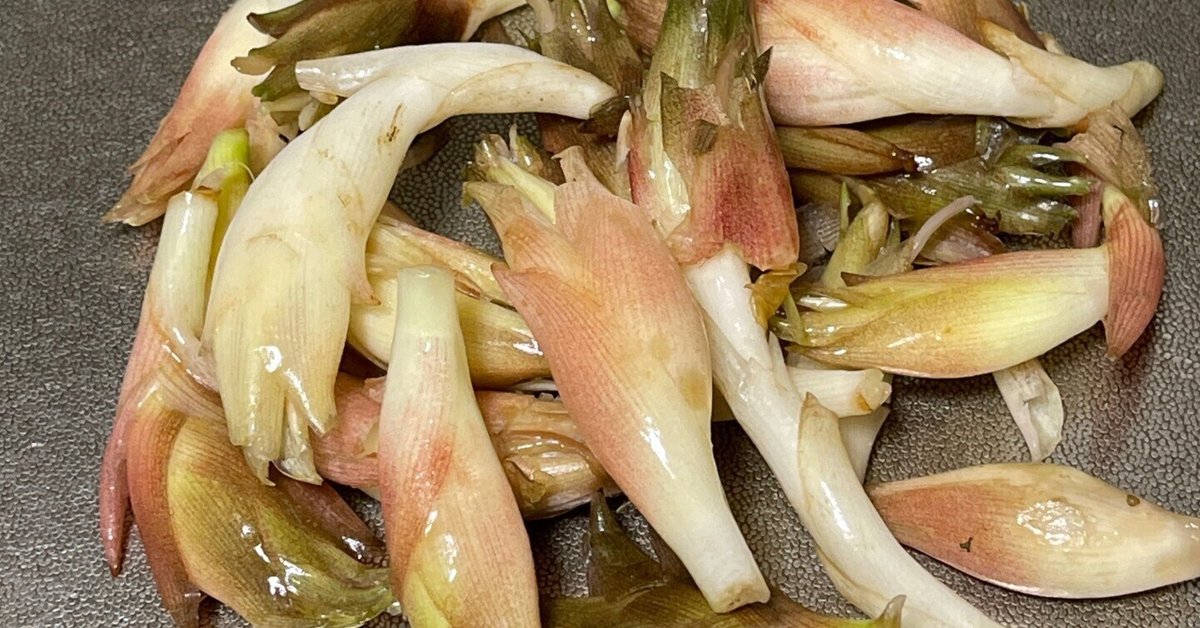 管理栄養士監修 「みょうが」の主な栄養素とカロリーまとめ!おすすめな調理方法は?サンキュ