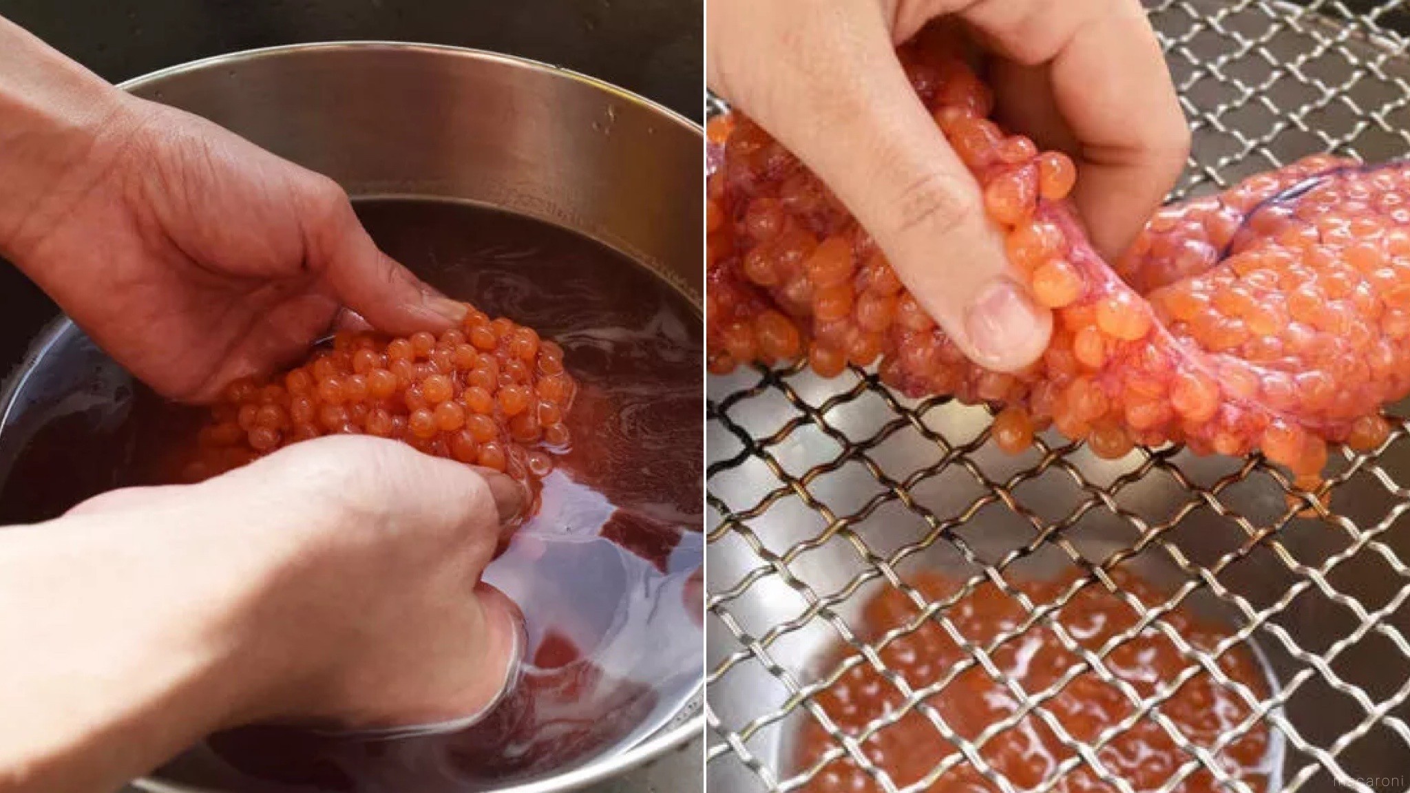 生筋子のほぐし方５種と綺麗にする下処理法＆アニサキス対策食べ太郎.com