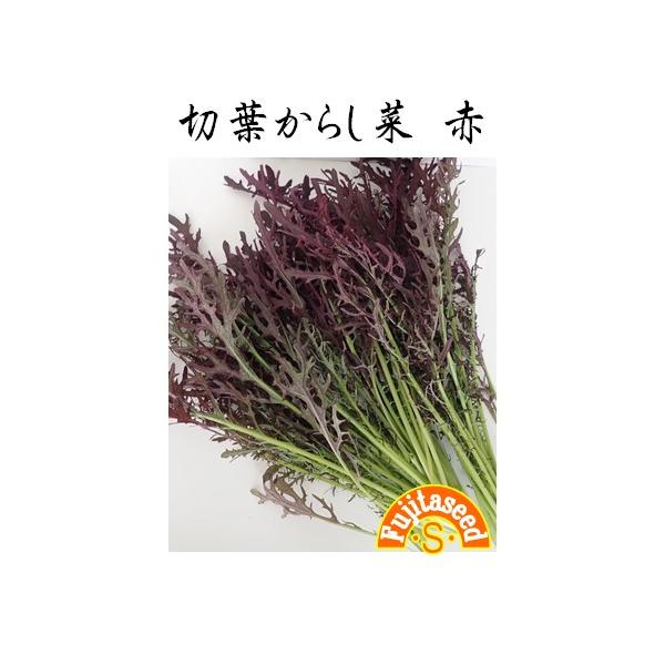 からし菜食材大百科神栄株式会社 食品部業務用冷凍食品のサプライヤ