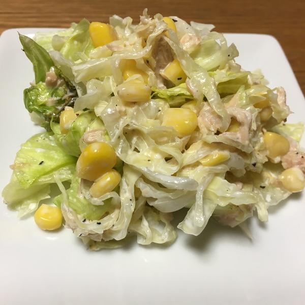 秋の食養生 熱のだるさに「キャベツとレタスの千切りサラダ」 - 九州の野菜、お米、海苔なら朝ごはん本舗店長ブログ