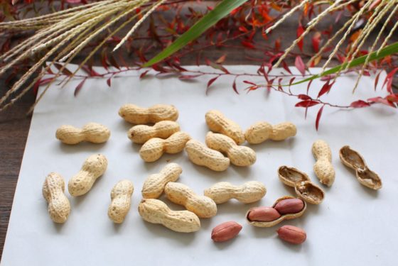 生落花生の栄養と美味しい活用法