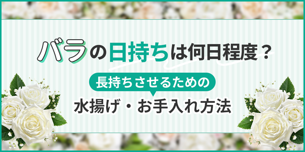 ラッピング付 生花 ピンク バラの花束 30本 日付指定可能 薔薇 ローズ ギフト プレゼント ラッピング インテリア お花 フラワーH193-010 愛知県碧南市ふるさと納税サイト「ふるさとプレミアム」