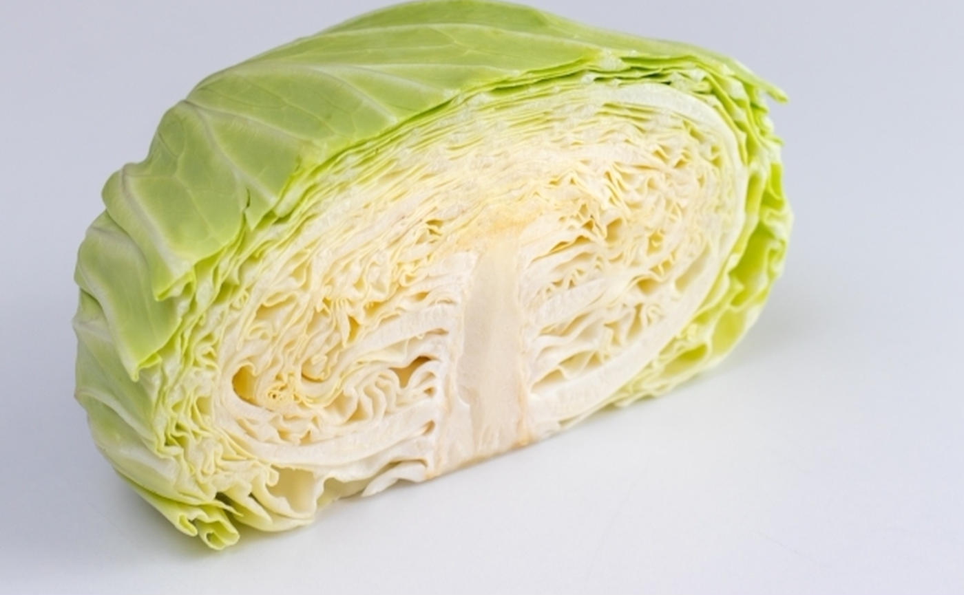 キャベツを育苗していましたが、黄色に変色した時の対処方法は楽しい家庭菜園