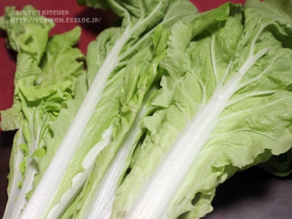 ンスナバーくゎっちーおきなわ！沖縄食材情報サイト