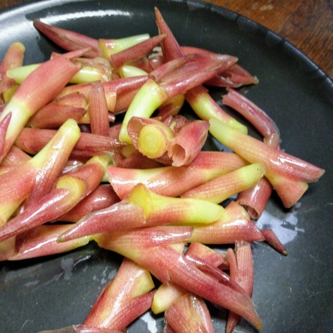 おやじレシピ 初夏の味「ミョウガの甘酢漬け」 - ひろのLIFE