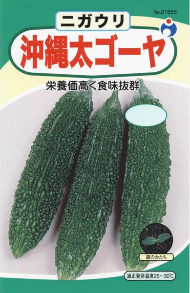 青瓜の値段・初夏には食べたい緑あざやかな瓜の特徴を紹介FOOD LAYOUT