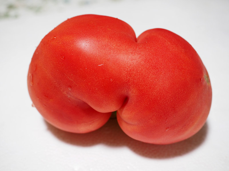 面白いトマトのキャラクターの写真 - 無料の高画質写真をダウンロードFreepik