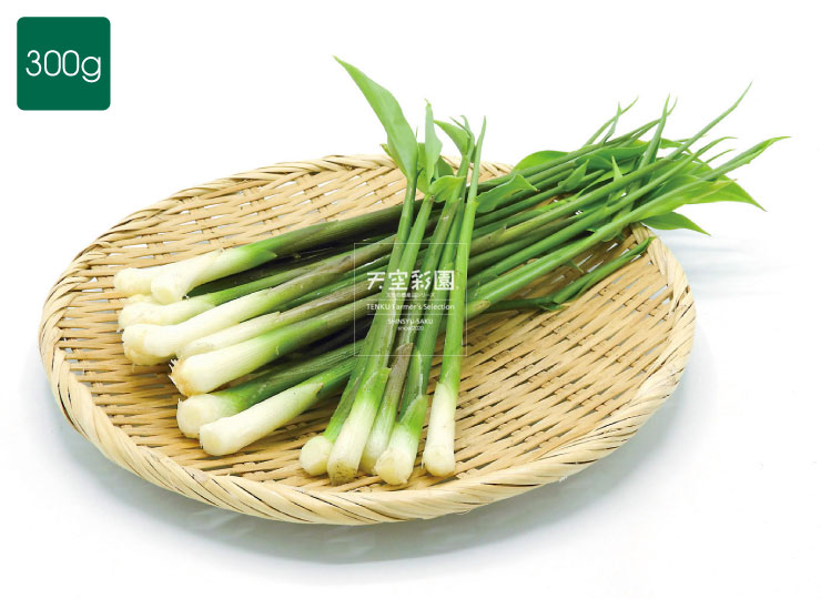 みょうがの忘れ物 - Sixteen Tones