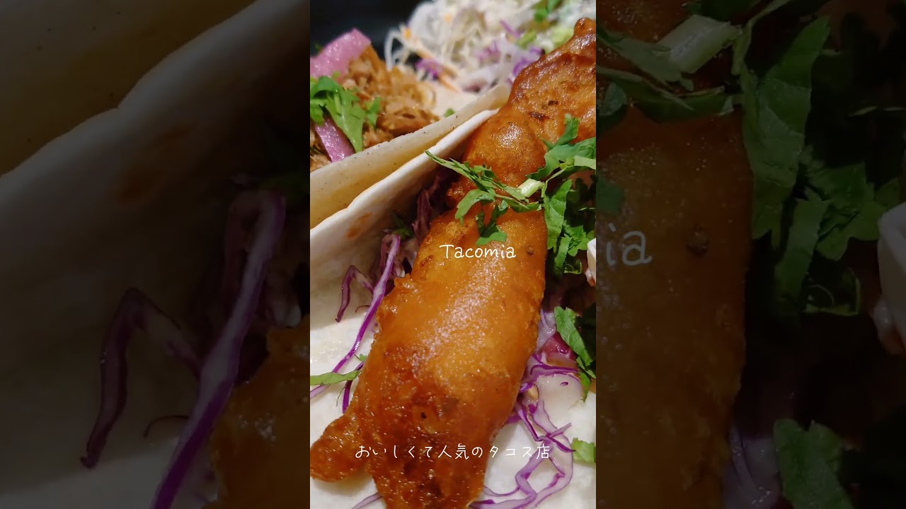 福岡で美味しいメキシコ料理店を9選しました 天神・中洲Fukuoka bocco