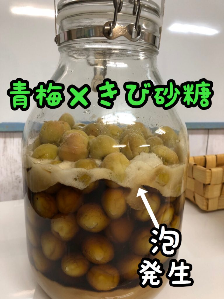 梅シロップの作り方梅仕事レシピ