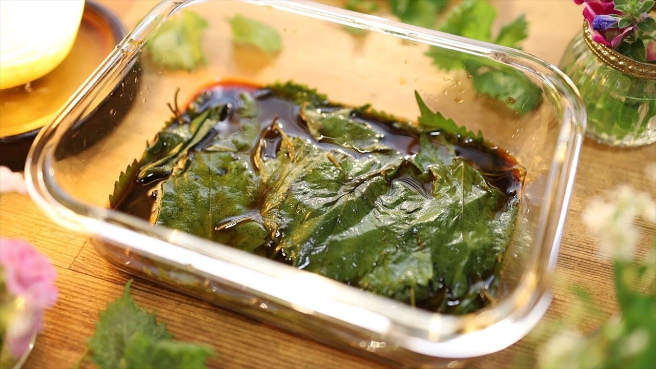 大葉のさわやかさ炸裂！ シソベーゼこと『青じそペースト』の作り置きレシピオレンジページ ニュースデイリーオレンジページnet