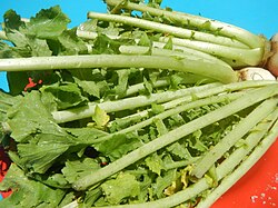 菜っ葉の日E-ZUKA Event Entrance