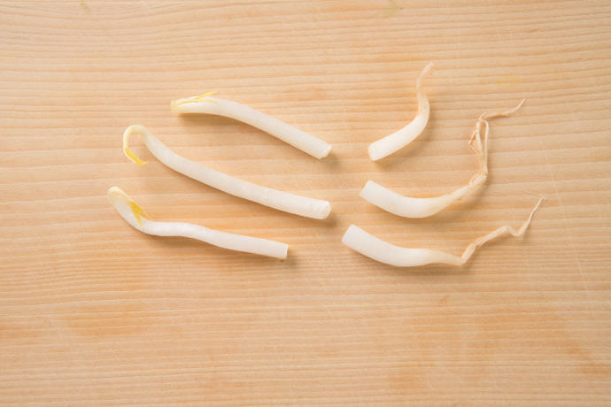 大豆もやしの下処理・茹で方 –Organic Recipeオーガニックレシピ