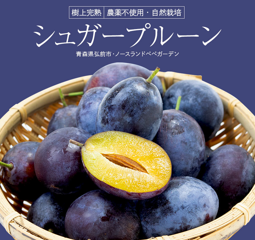 北海道産 生プルーン １kg