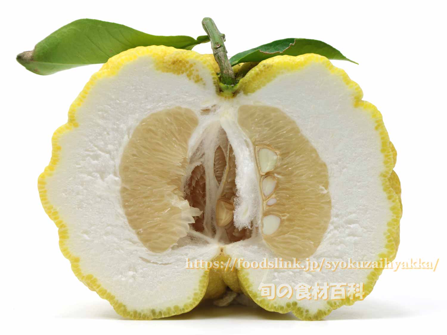 大きい柚子の写真素材写真素材なら「写真AC」無料 フリー ダウンロードOK