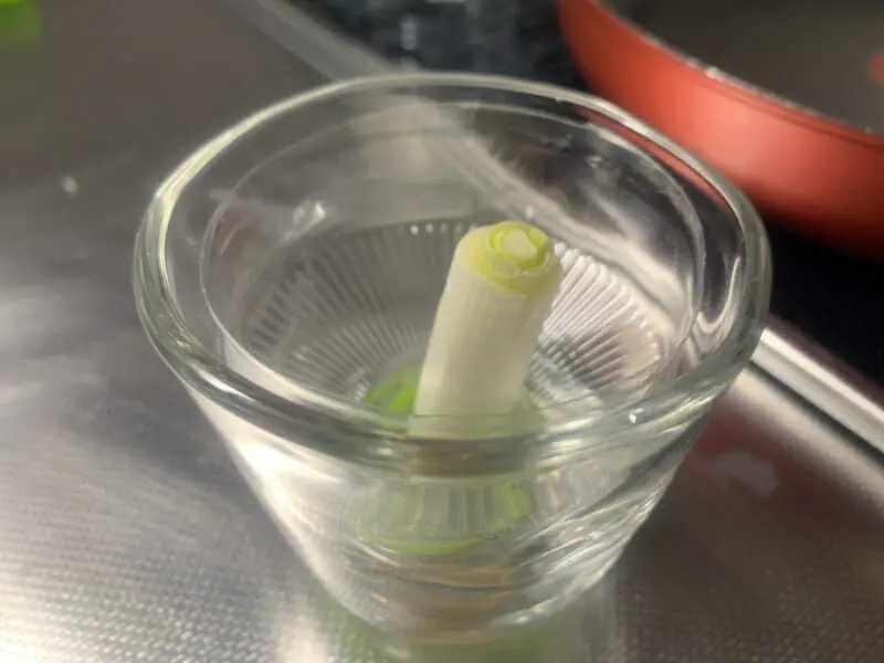 農家が教える小ネギの栽培方法 いつでもとれたて！ キッチンガーデンでも育てられる小ネギの作り方マイナビ農業