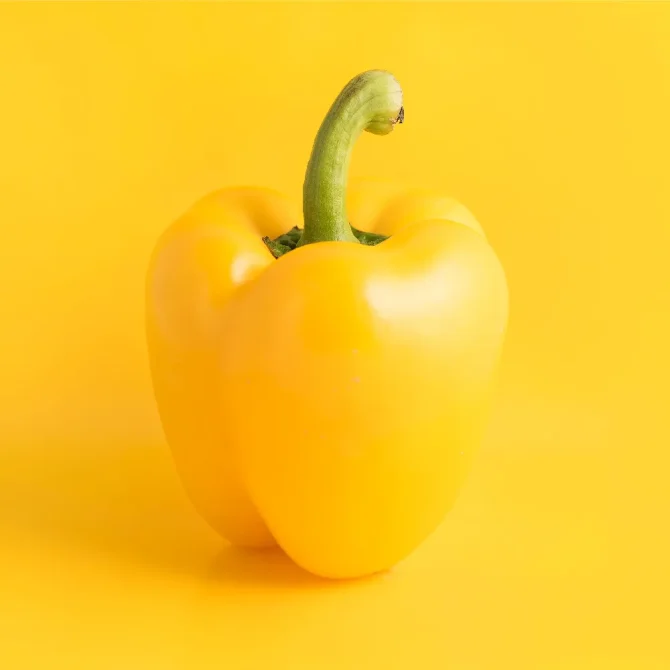 梅雨の不調と夏バテにも効く!『1日ひとつ、疲れが消える おいしい漢方365』発売後即重版株式会社世界文化ホールディングスのプレスリリース